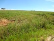 ellisville,  MS 39437