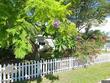 1401 38th ave n, saint petersburg,  FL 33704