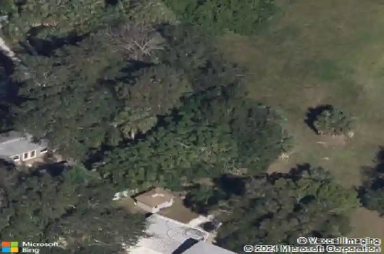 1956 cedar dr, dunedin,  FL 34698