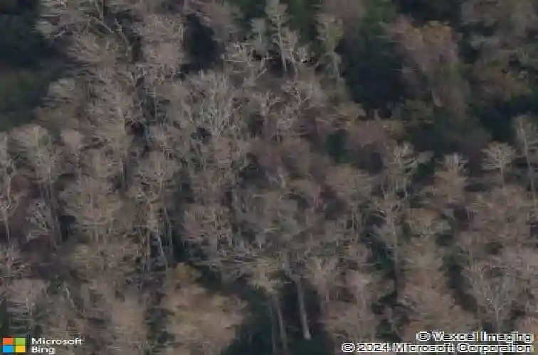 2680 keystone springs rd, tarpon springs,  FL 34688