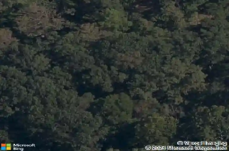 7 kirkstile ln, bella vista,  AR 72715