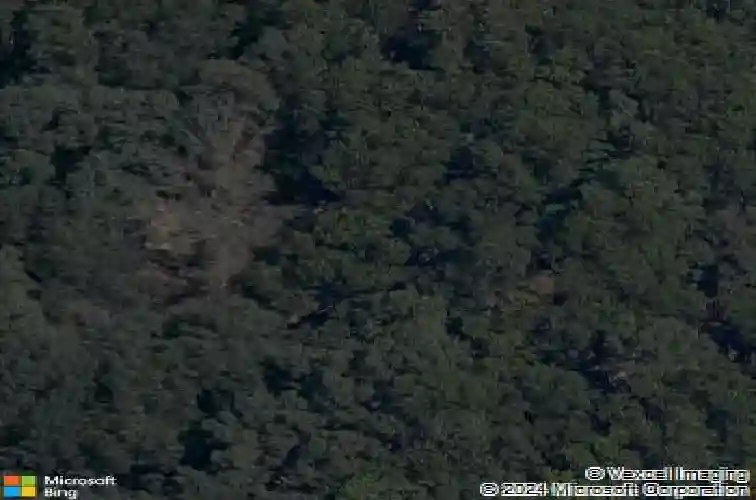 rochester drive, bella vista,  AR 72714