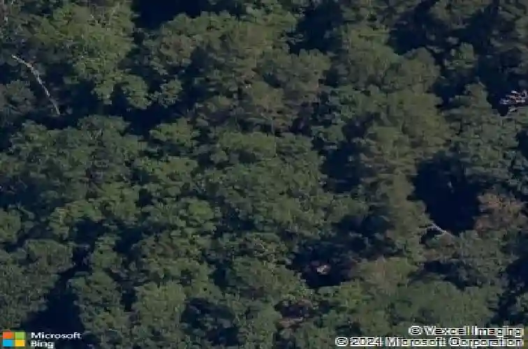 11001 ford vw, rogers,  AR 72756