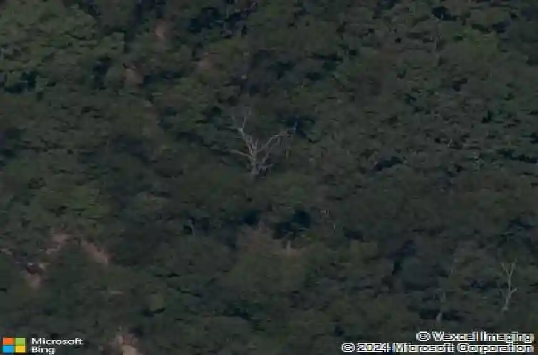 horncastle drive, bella vista,  AR 72714