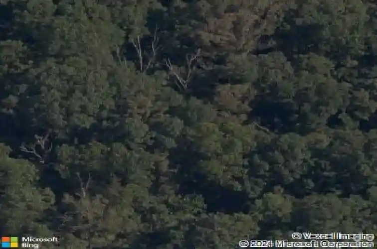 staines lane, bella vista,  AR 72715