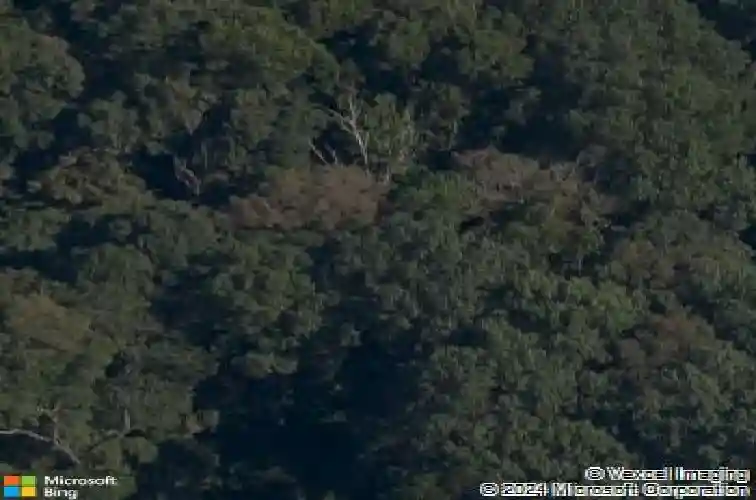 newmilns lane, bella vista,  AR 72715