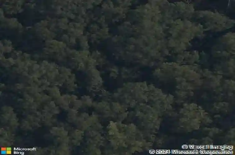 colney lane, bella vista,  AR 72714