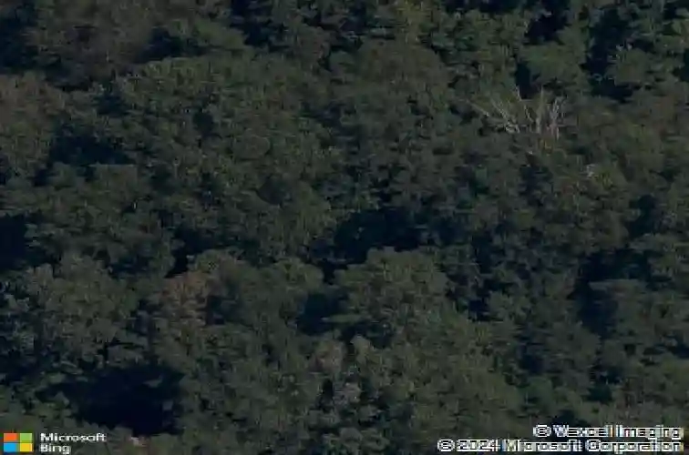 abbey lane, bella vista,  AR 72715