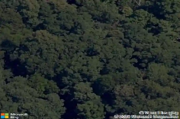 13 bathgate dr, bella vista,  AR 72715