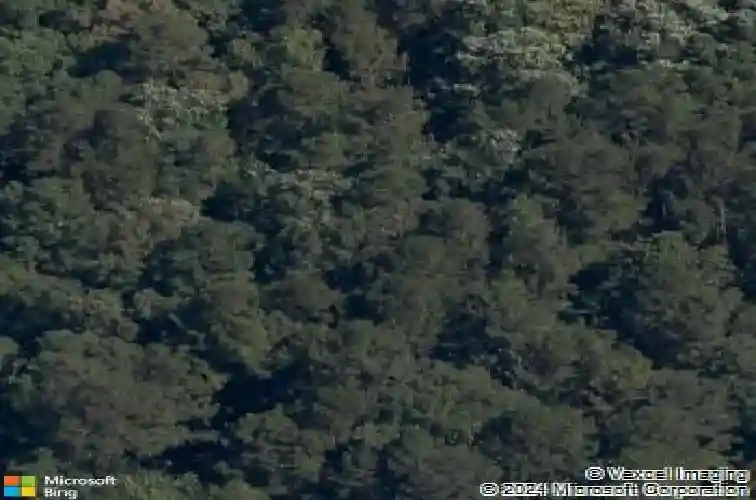 hwy 12 e & key road, rogers,  AR 72756