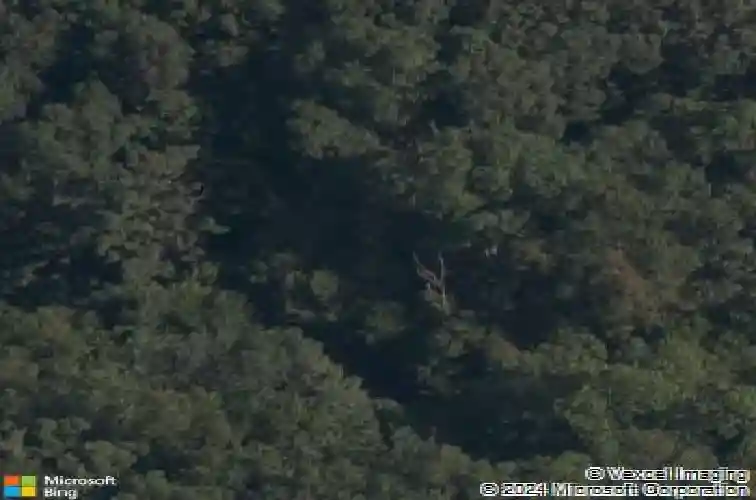 alston circle, bella vista,  AR 72714