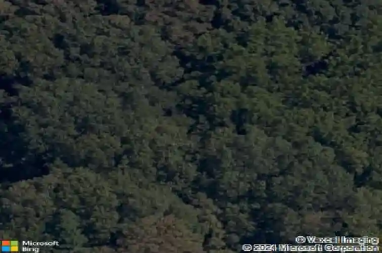 3 olmsted cir, bella vista,  AR 72715