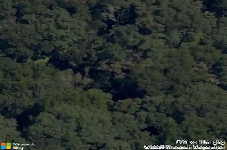 81 selkirk dr, bella vista,  AR 72715