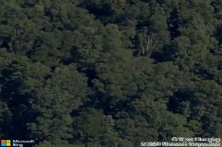 6 galashiels ln, bella vista,  AR 72715