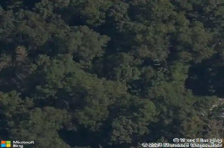 coniston lane, bella vista,  AR 72714