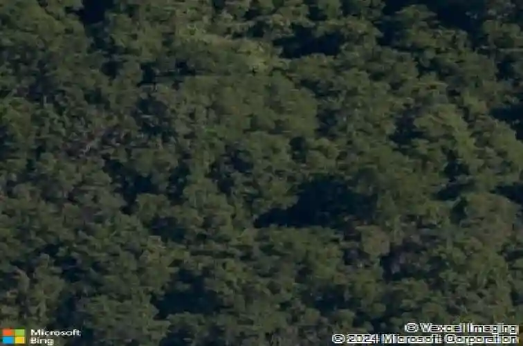 morvan lane, bella vista,  AR 72715