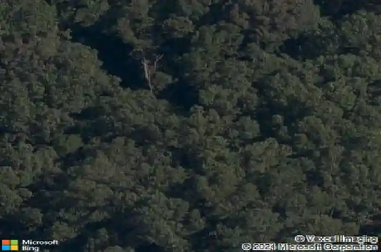 3 greenlaw ln, bella vista,  AR 72715