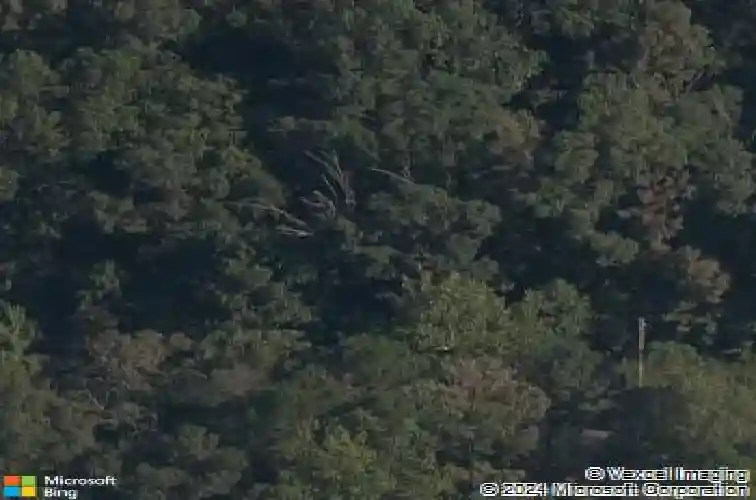 20 greenodd dr, bella vista,  AR 72714