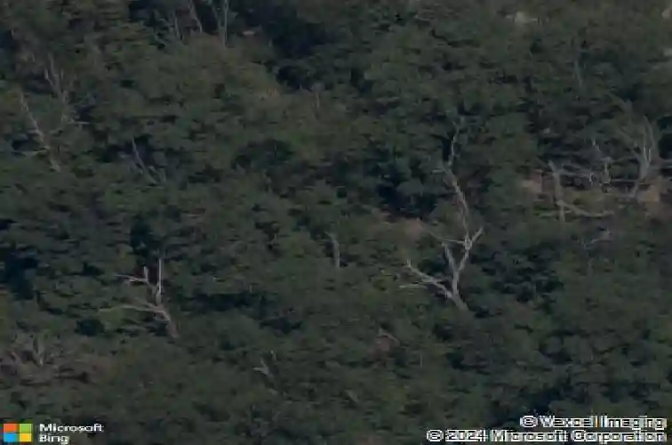 8 grantham dr, bella vista,  AR 72714