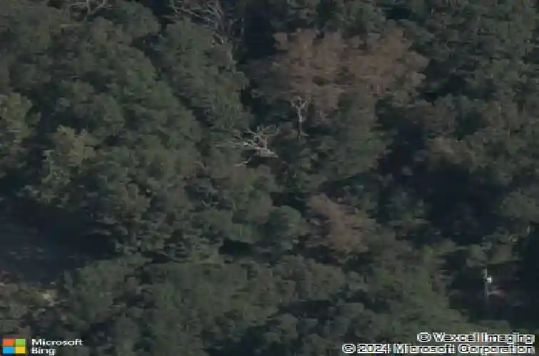 2 greenodd dr, bella vista,  AR 72714