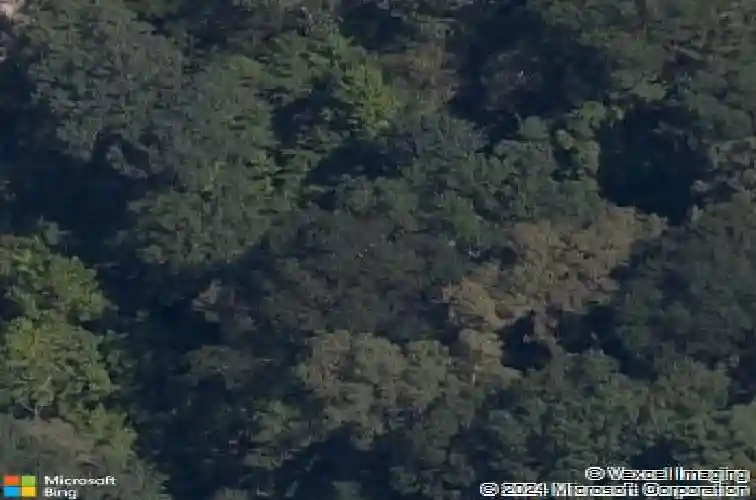 pikes peak road, rogers,  AR 72756