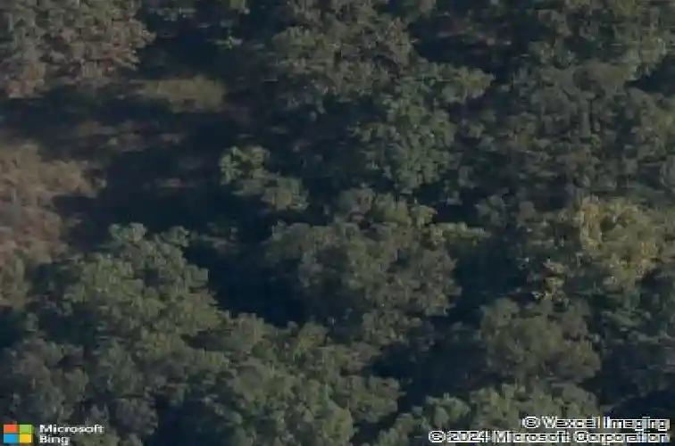 8937 anew rd, rogers,  AR 72756