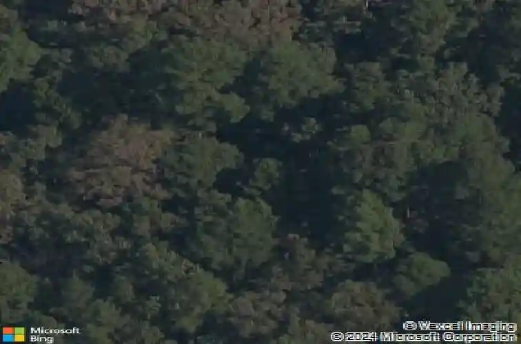 4 shap ln, bella vista,  AR 72714