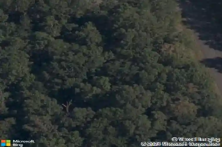 henry lane, bella vista,  AR 72715