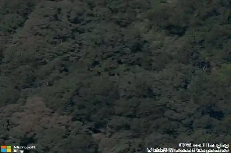 gilbert circle, bella vista,  AR 72715