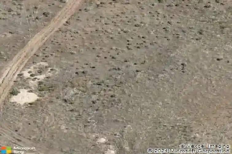 1299 silver view cir, sparks,  NV 89436