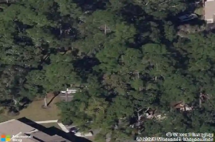 1000 tarpon woods blvd #503
                                ,Unit Apt 503, palm harbor,  FL 34685