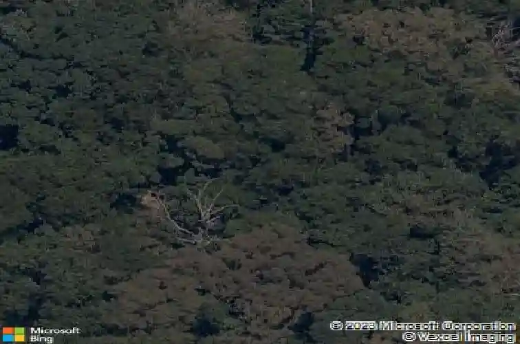 10098 hoot owl rd, bentonville,  AR 72712