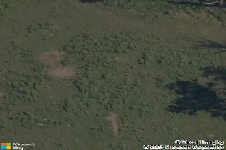 15777 w highway 72, gravette,  AR 72736