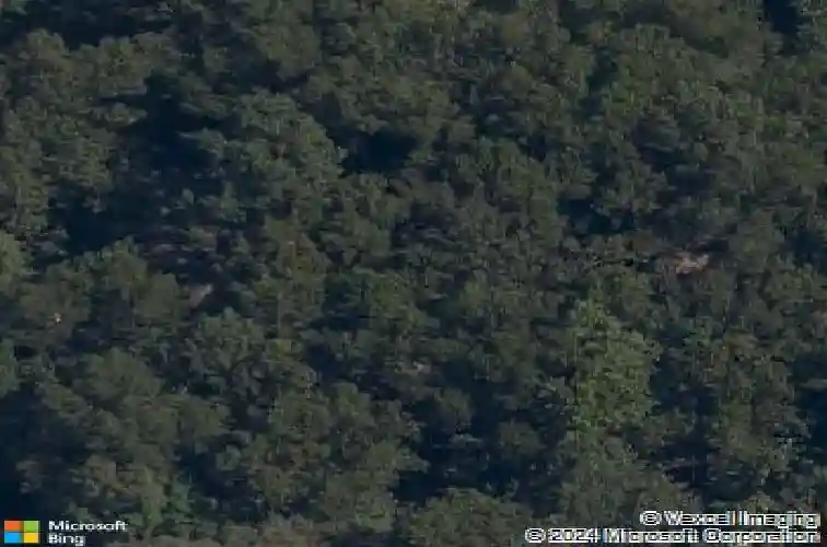 9954 debra dr, rogers,  AR 72758