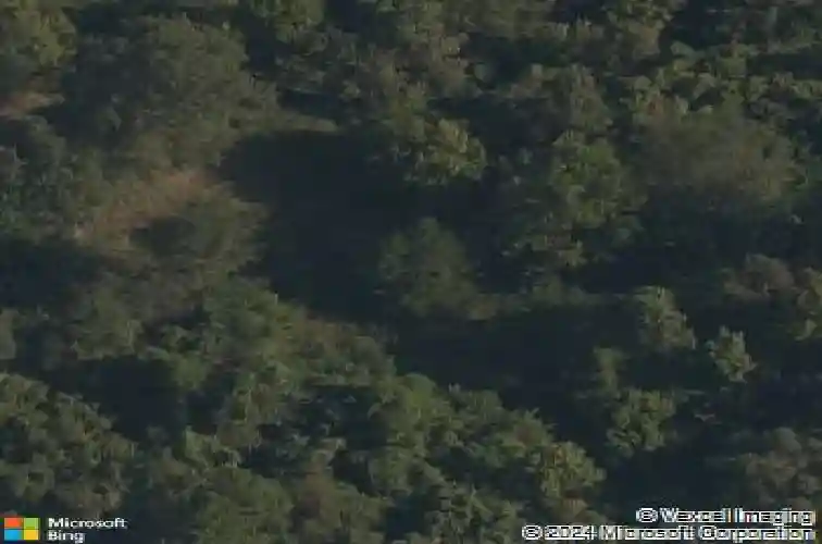 13533 haden rd, bentonville,  AR 72713