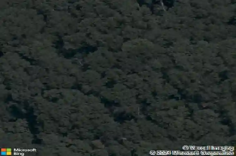 8442 e mcnelly rd, bentonville,  AR 72712