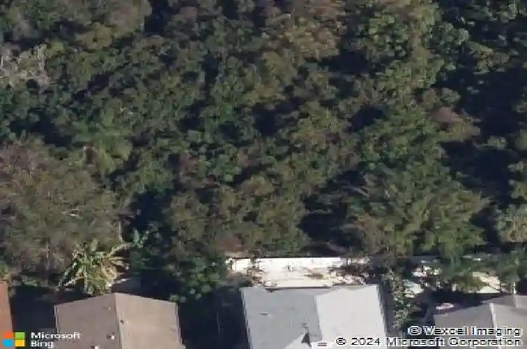 magnolia avenue, palm harbor,  FL 34683