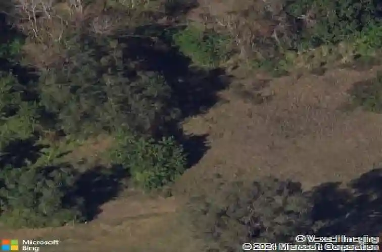 royal palm drive s, gulfport,  FL 33707