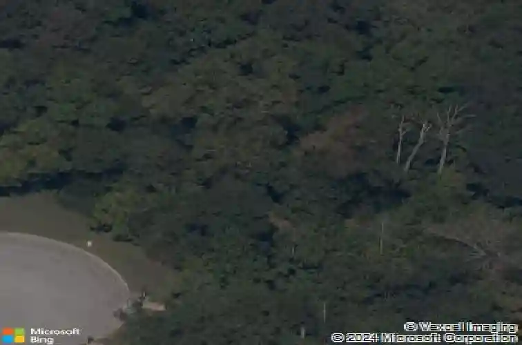 bayleaf court, bentonville,  AR 72712