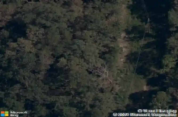 14600 canyon rd, bella vista,  AR 72715