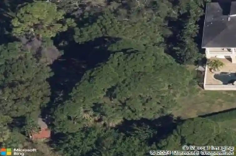 seaview drive, crystal beach,  FL 34681