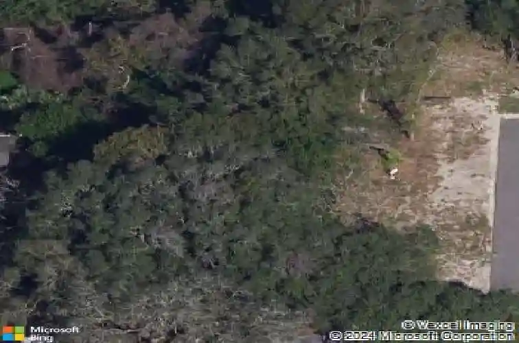 1900 virginia ave, tarpon springs,  FL 34689