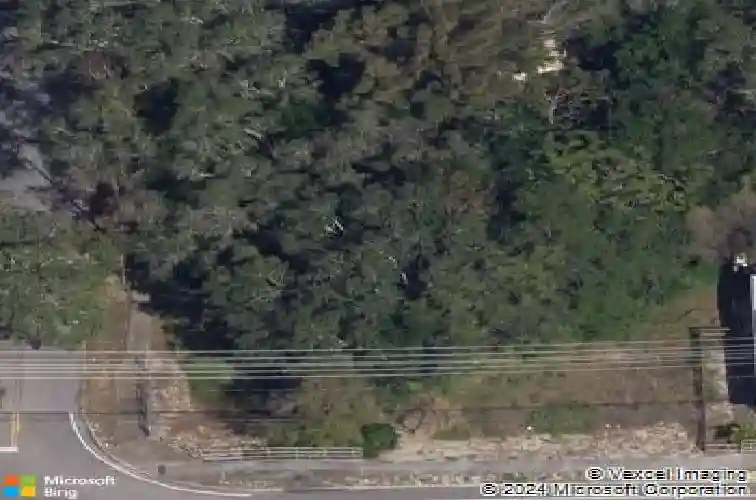 virginia avenue, tarpon springs,  FL 34689