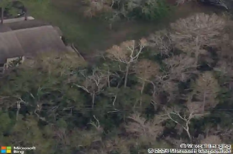 1200 tarpon woods blvd #p1, palm harbor,  FL 34685