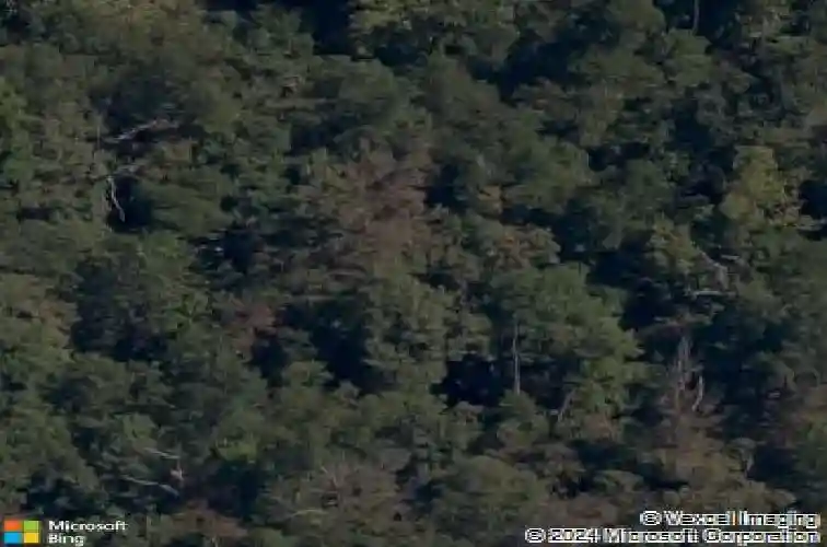  bella vista,  AR 72715