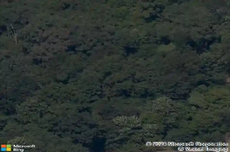 2808 palisades cir, bentonville,  AR 72712