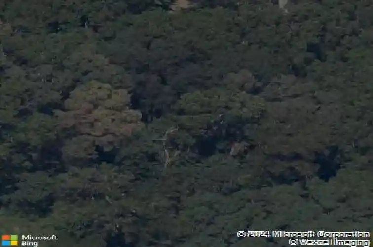 1202 nw angel falls rd, bentonville,  AR 72712