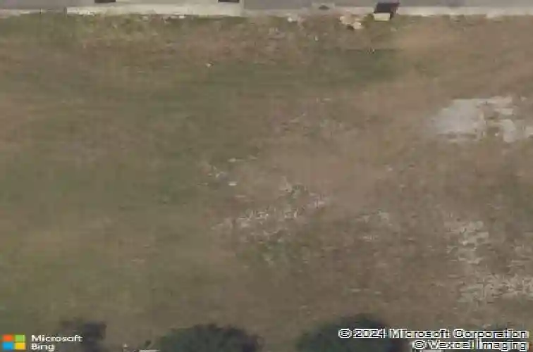  saint petersburg,  FL 33701