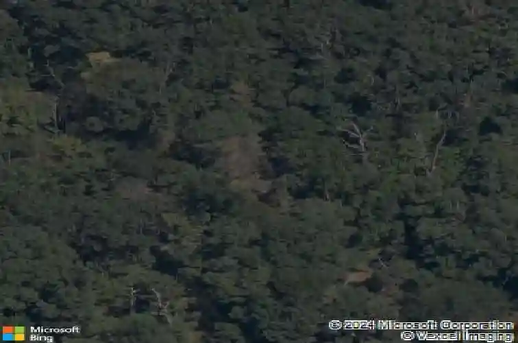 25 thornaby dr, bella vista,  AR 72714