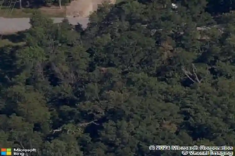 2 salen ln, bella vista,  AR 72715